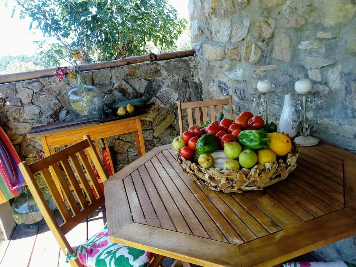 Casa Do Trapo Hotel Sardoal Luaran gambar
